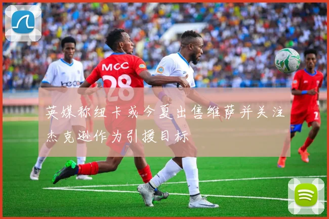 英媒称纽卡或今夏出售维萨并关注杰克逊作为引援目标