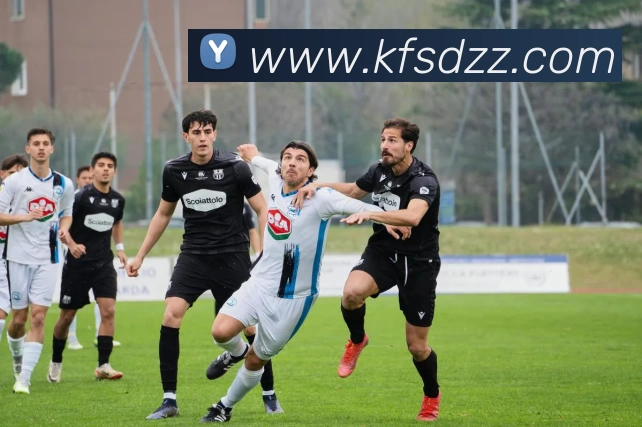 九游j9官网入口登录APP 高清赛事图